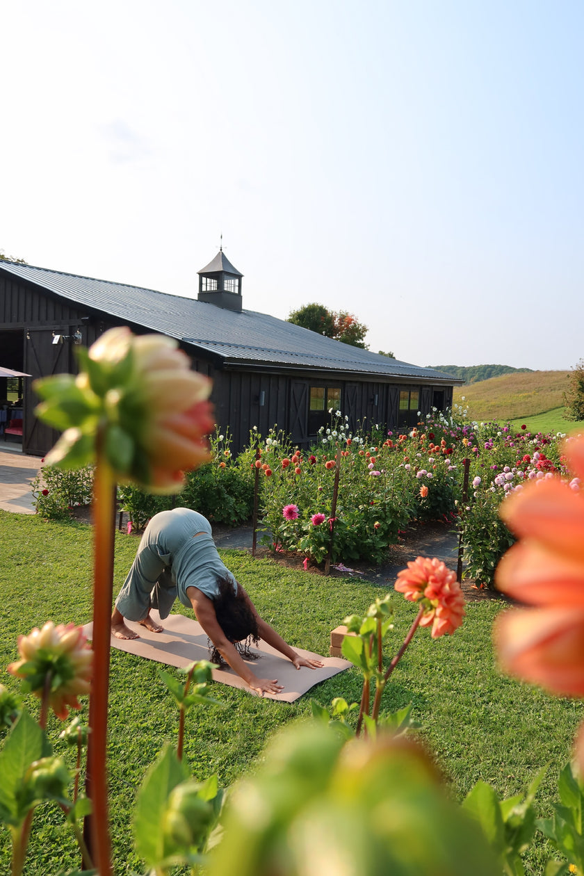 Sunset Garden Yoga & You-Pick Event