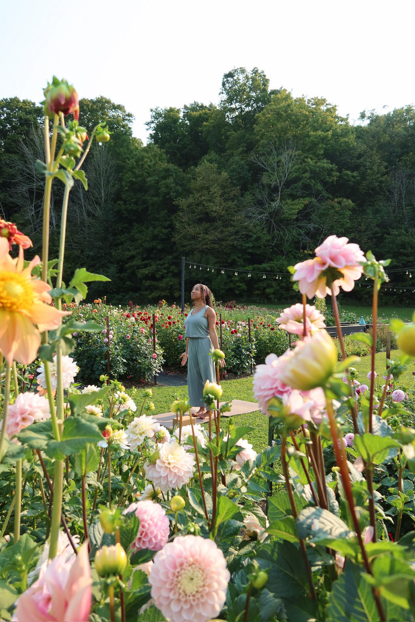 Sunset Garden Yoga & You-Pick Event