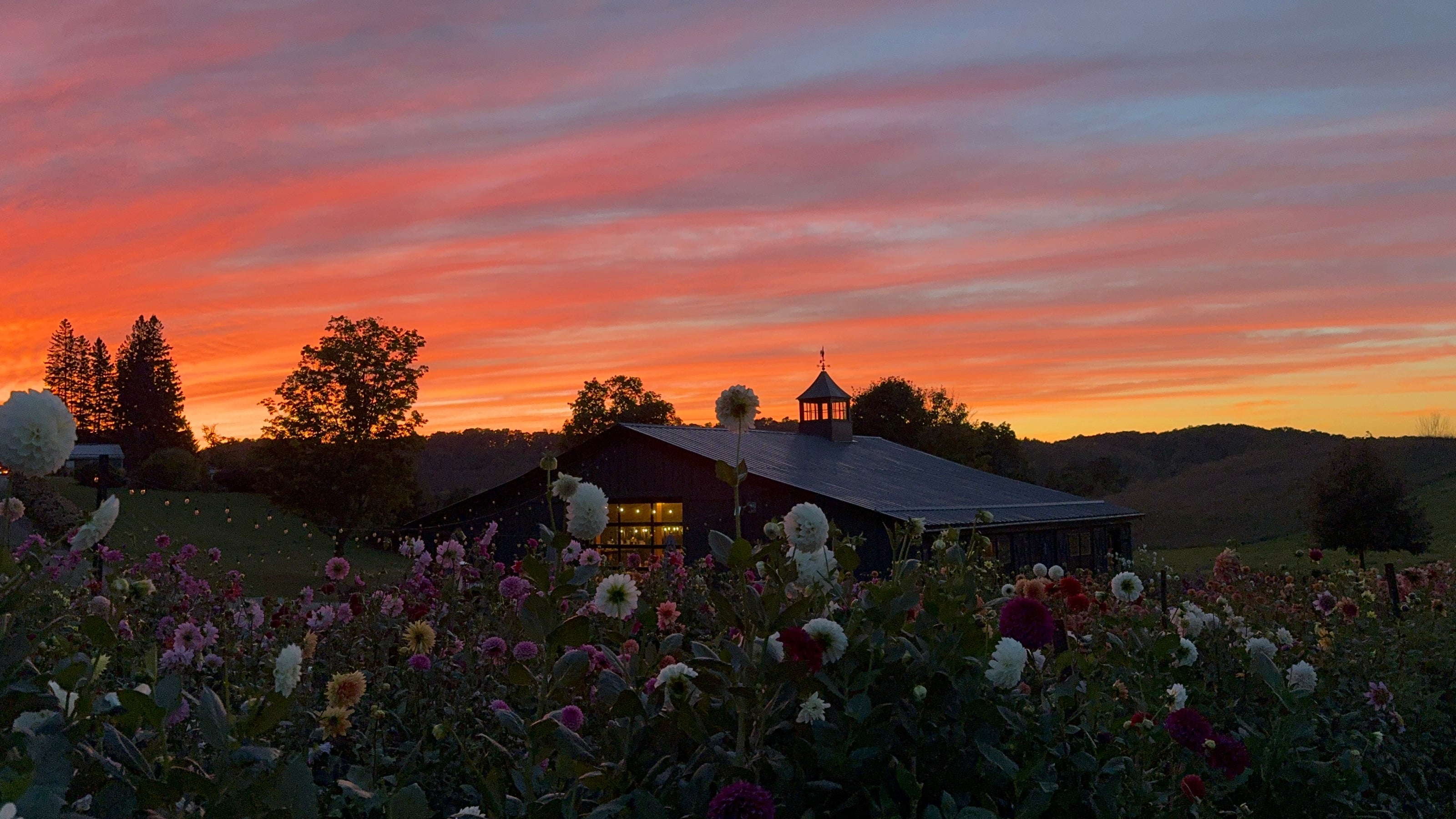 Sunset Garden Yoga & You-Pick Event