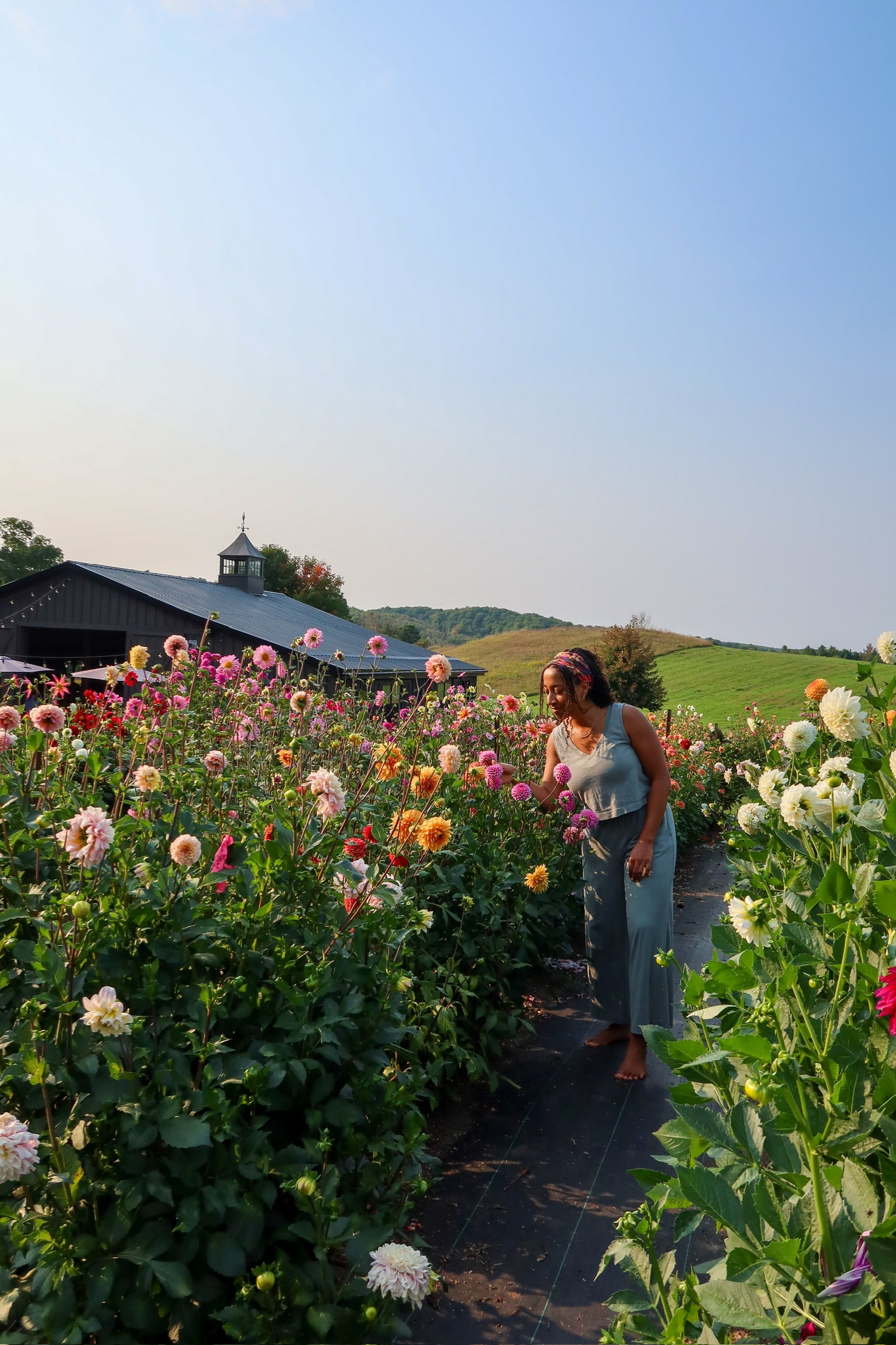 Sunset Garden Yoga & You-Pick Event
