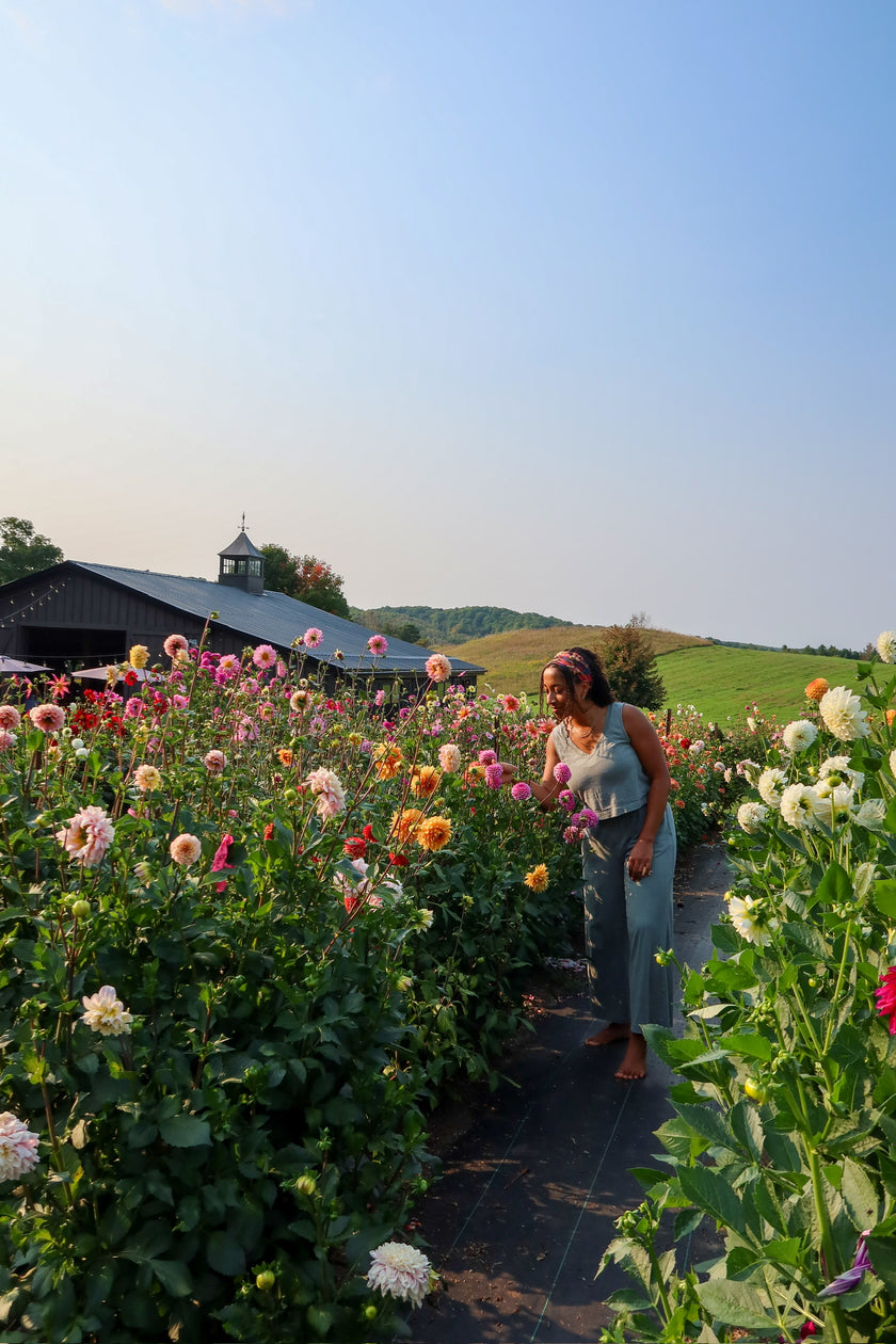 Sunset Garden Yoga & You-Pick Event