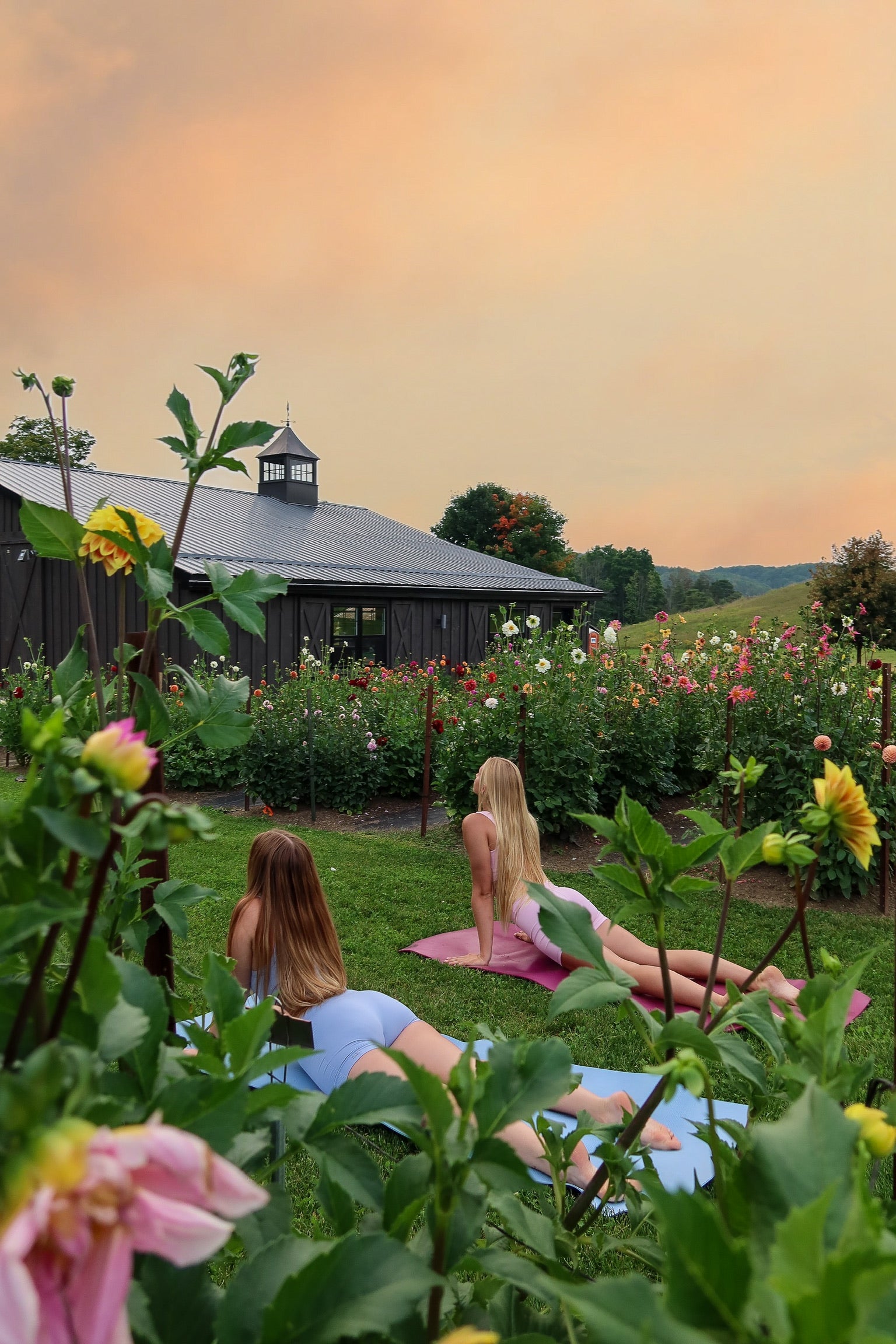 Sunset Garden Yoga & You-Pick Event