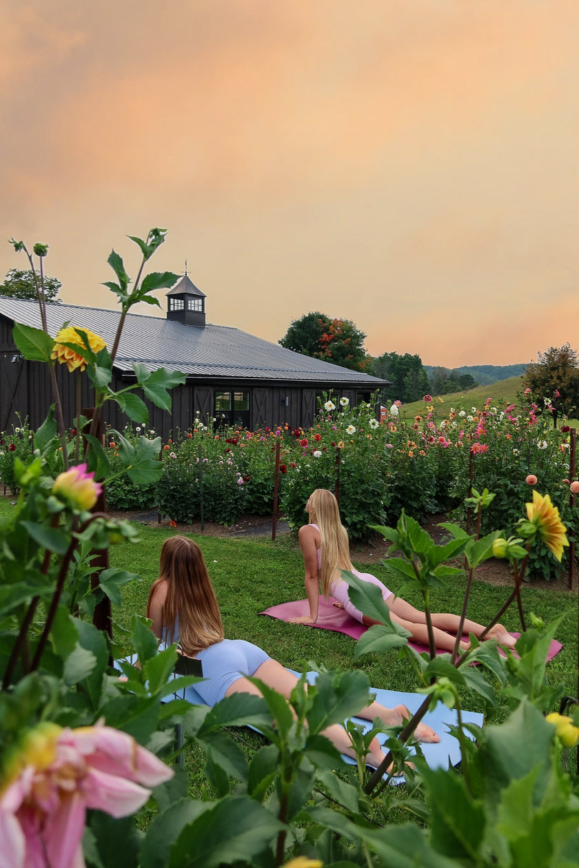 Sunset Garden Yoga & You-Pick Event
