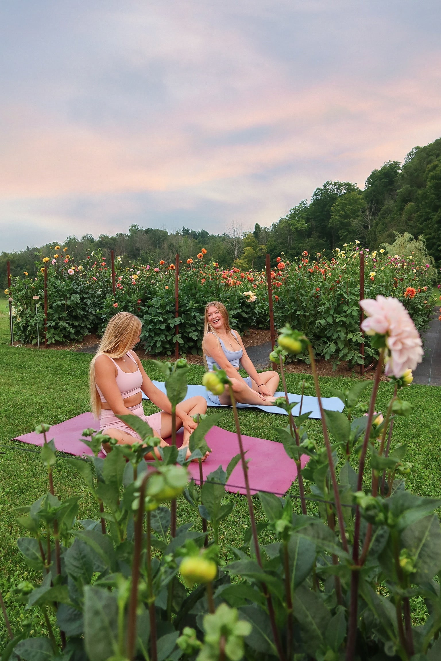Sunset Garden Yoga & You-Pick Event