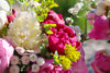 Peony Subscription