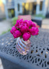 Peony Bloom Bucket (50 Stems)