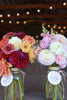 Dahlia Subscription