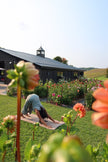 Sunset Garden Yoga & You-Pick Event