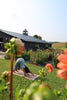 Sunset Garden Yoga & You-Pick Event