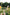 Sunset Garden Yoga & You-Pick Event