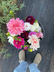 Dahlia Bloom Bucket (75 Stems)