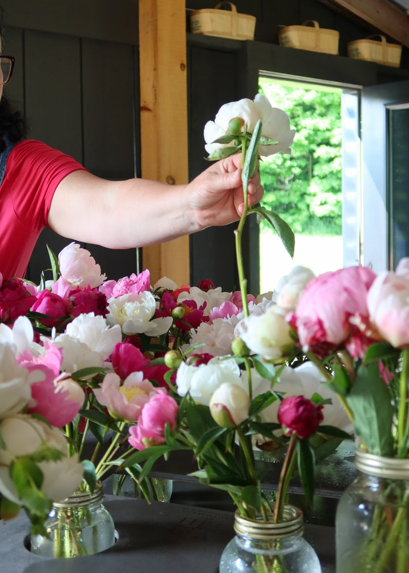 Peony Subscription (Pre-Order)