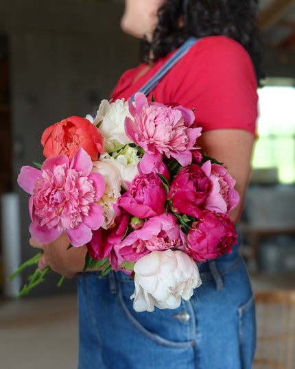 Peony Bloom Bucket (50 Stems)