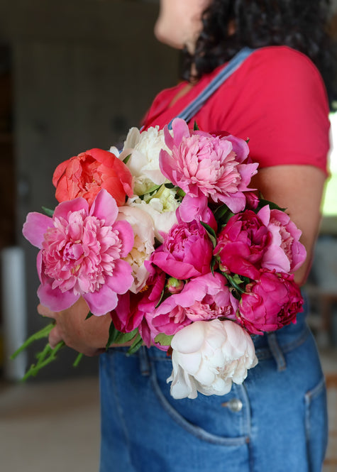 Peony Bloom Bucket (50 Stems)