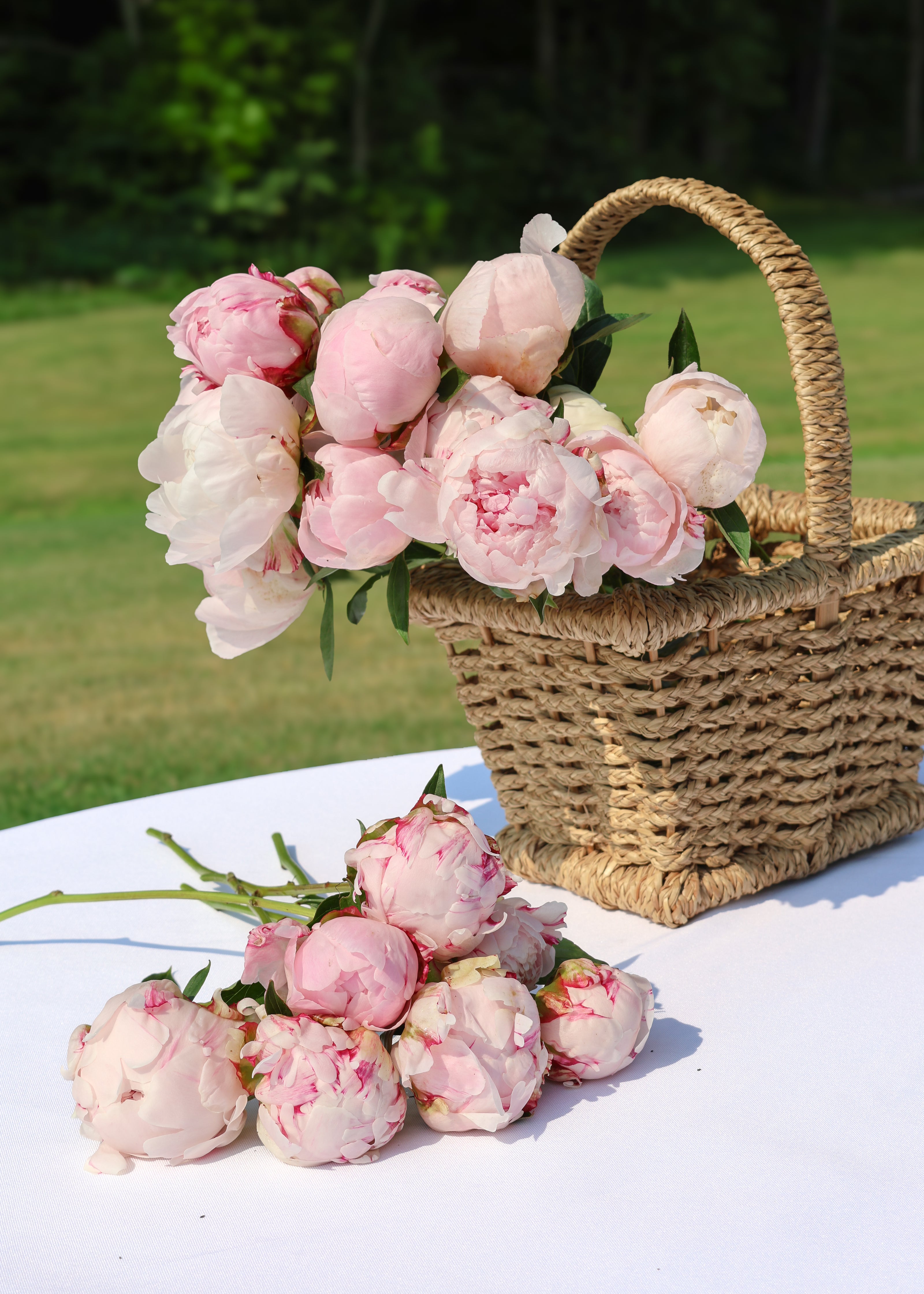 Peony Subscription (Pre-Order)