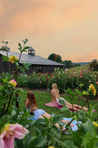 Sunset Garden Yoga & You-Pick Event