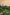 Sunset Garden Yoga & You-Pick Event
