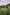 Sunset Garden Yoga & You-Pick Event
